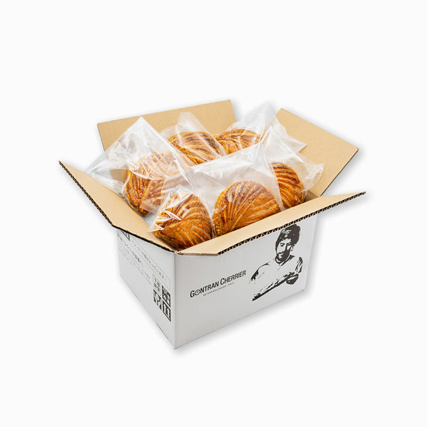 ショソンオポム6個セット 【送料込】